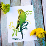 Parakeet-Green-1024