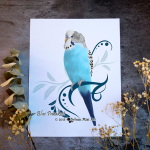 Parakeet-Blue1024