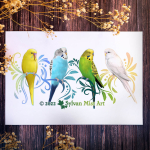 Parakeets-2022-1024