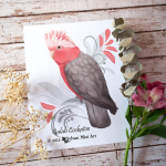 Cockatoo-Galah-1024