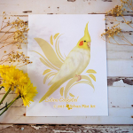 Cockatiel-Lutino-1024