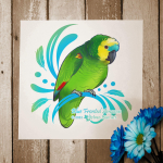 Amazon-BlueFronted-1024