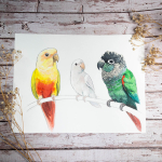 3Birds-Watercolor3-1024