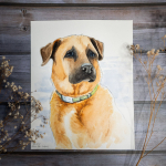 Dog_Whisky02-1024