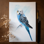 Parakeet-Buddy-Budgie-1024
