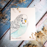Parakeet-Cricket-1024
