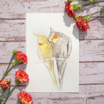 Rico-Perla_Cockatiels1-1024